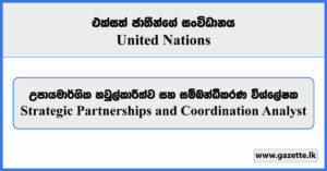 Strategic Partnerships and Coordination Analyst - UN Women Vacancies 2025