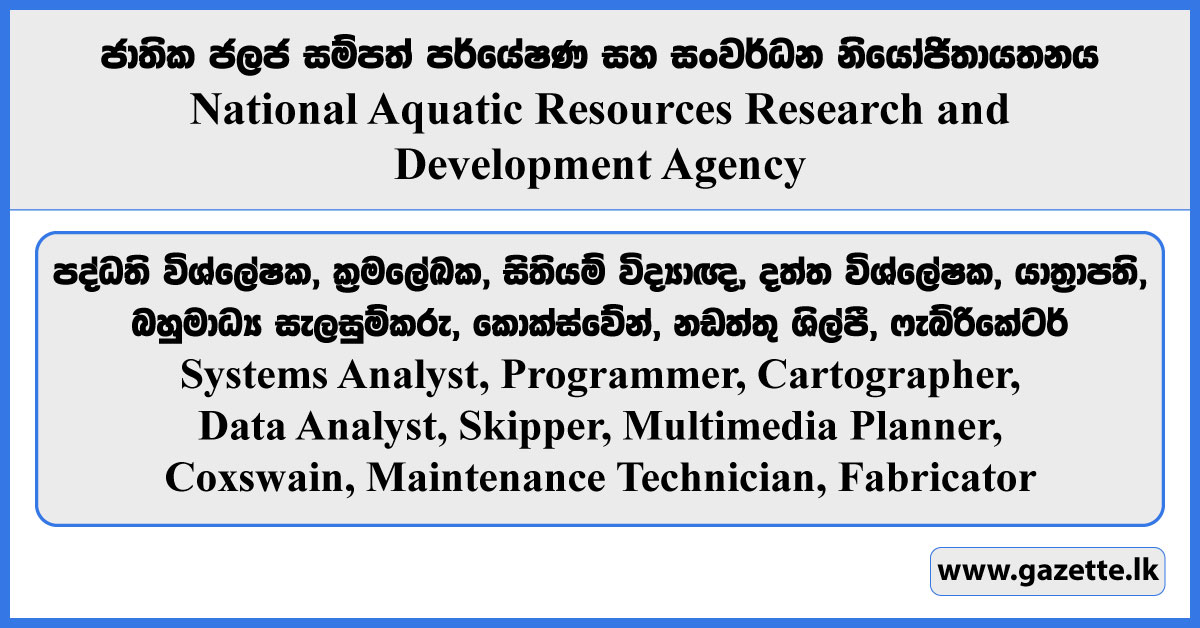 Systems Analyst, Programmer, Cartographer, Data Analyst, Skipper, Multimedia Planner, Coxswain, Maintenance Technician, Fabricator - NARA Vacancies 2025