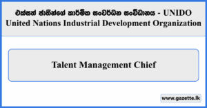 Talent Management Chief - United Nations Industrial Development Organization Vacancies 2024