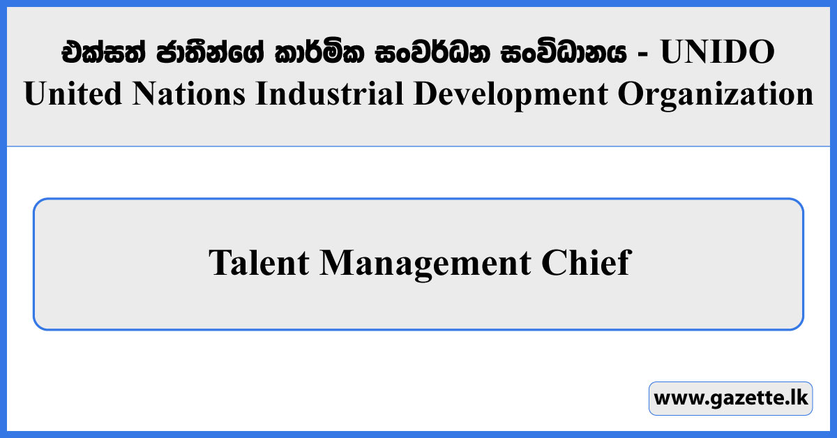 Talent Management Chief - United Nations Industrial Development Organization Vacancies 2024