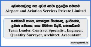 Engineer, Quantity Surveyor, Architect, Accountant - Airport and Aviation Services Private Limited Vacancies 2025