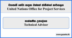 Technical Advisor - United Nations Office for Project Services Vacancies 2024