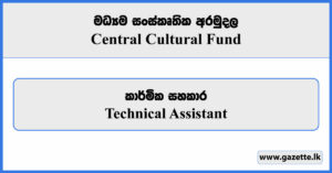 Technical Assistant - Central Cultural Fund Vacancies 2024