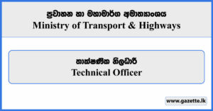 Technical Officer - Ministry of Transport & Highways Vacancies 2024