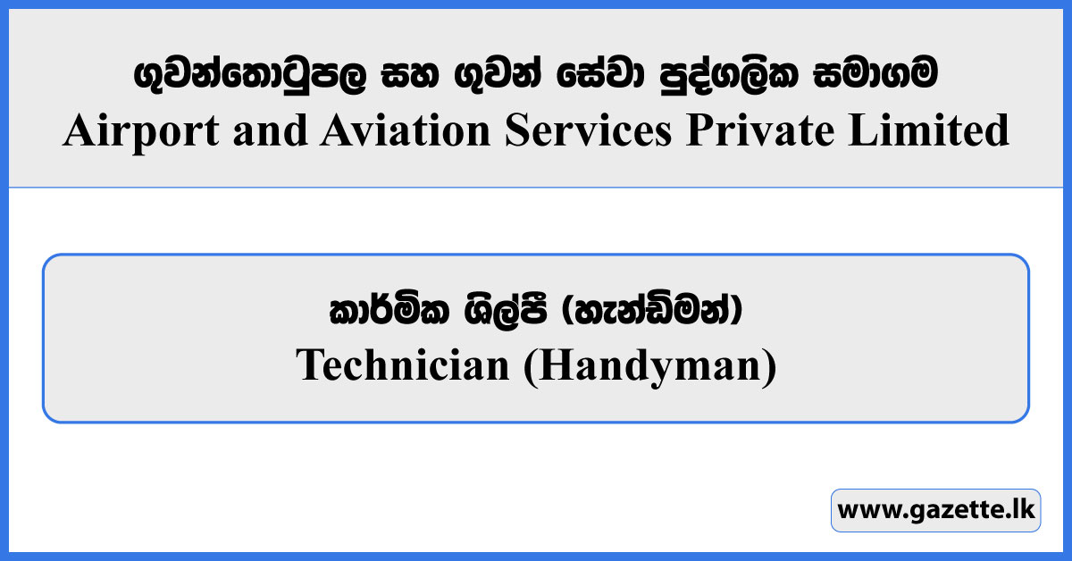 Technician (Handyman) - Airport & Aviation Services Private Limited Vacancies 2025