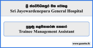 Trainee Management Assistant - Sri Jayewardenepura General Hospital Vacancies 2024