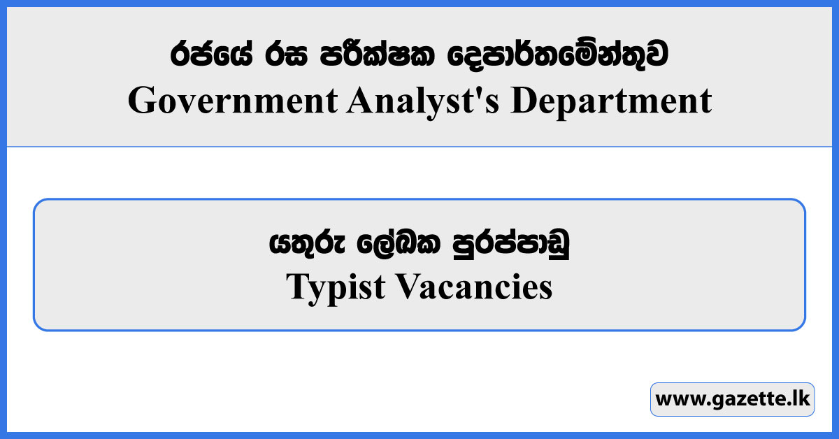 Typist (Management Assistant Category) - Government Analyst's Department Vacancies 2024