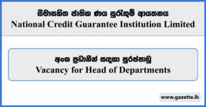 Vacancy for Head of Departments - National Credit Guarantee Institution Limited Vacancies 2024