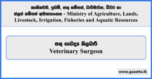 Veterinary Surgeon - Ministry of Agriculture, Lands, Livestock, Irrigation, Fisheries and Aquatic Resources Vacancies 2024