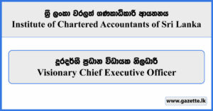 Visionary CEO - Institute of Chartered Accountants of Sri Lanka Vacancies 2024