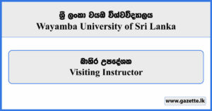 Visiting Instructor - Wayamba University of Sri Lanka Vacancies 2025