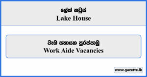Work Aide - Lake House Vacancies 2024