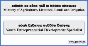 Youth Entrepreneurial Development Specialist - Ministry of Agriculture, Livestock, Lands and Irrigation Vacancies 2025