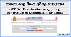 exam results 2024 ol exam