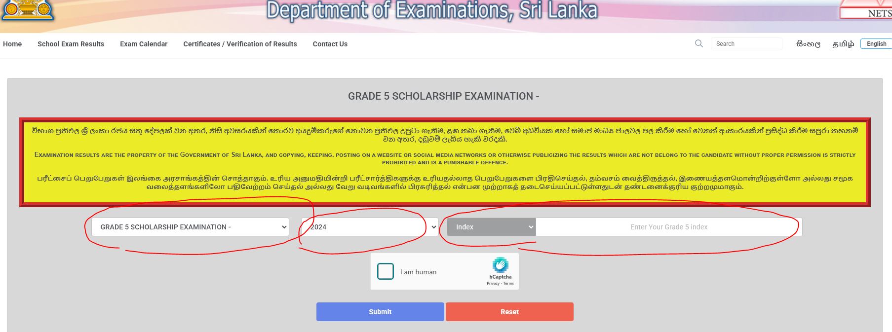 2024 scholarship results